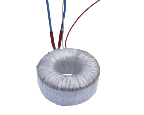 Trasformatori toroidali standard tector