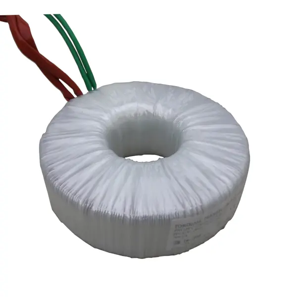 Trasformatori Toroidali compatto e ad alta efficienza energetica