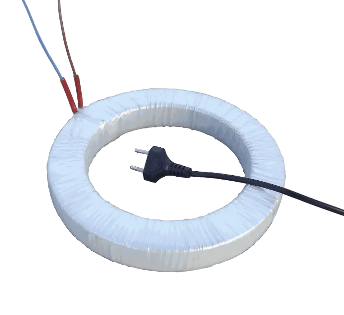 Trasformatori toroidali standard per efficienza energetica