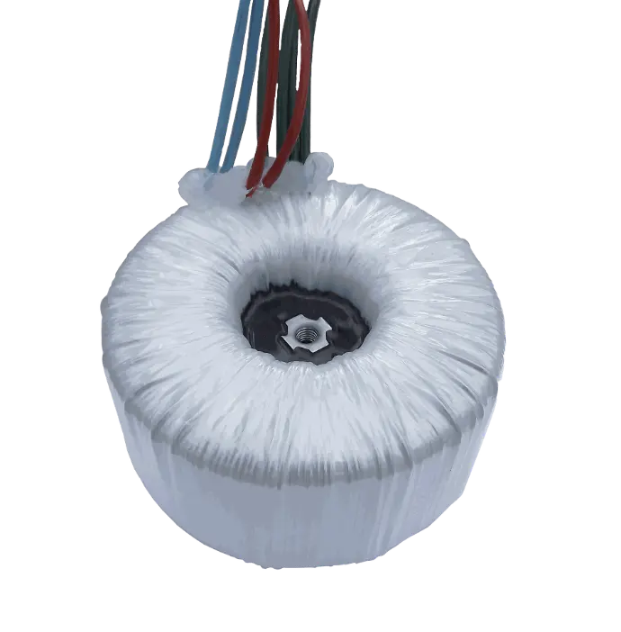 Trasformatori toroidali standard per circuiti elettrici sicuri